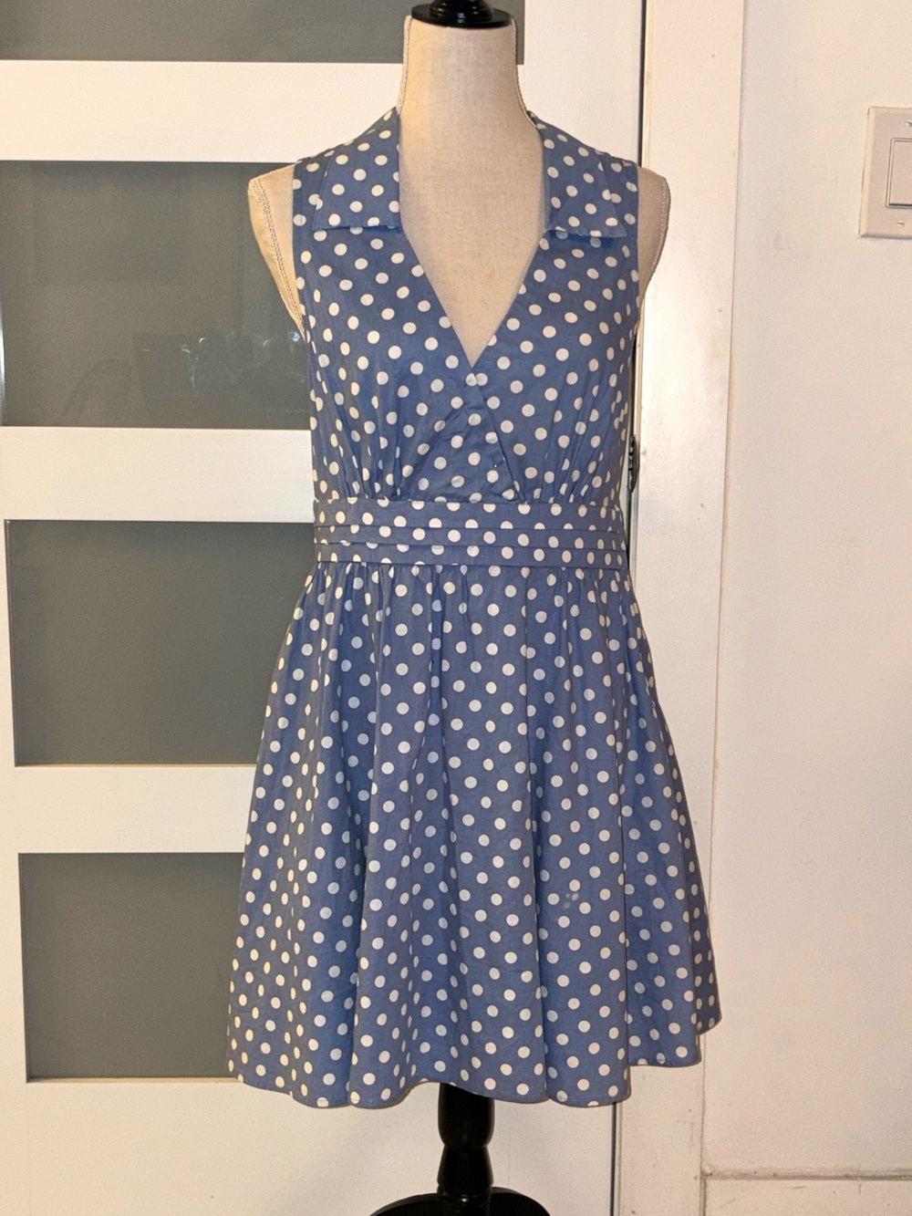 bailey blue Sleeveless Blue and White Polka Dot Fit & Flare Dress